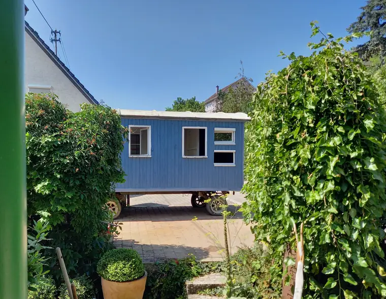 Blauer Bauwagen zwischen Kletterpflanzen im Garten
