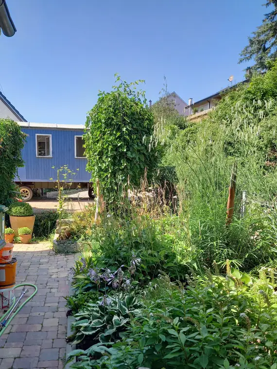 Blick über den Garten auf den blauen Bauwagen
