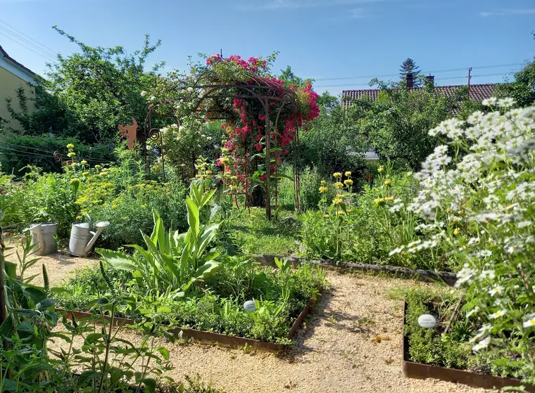Angelegte Beete mit Kiesweg, Rosen und blühenden Stauden