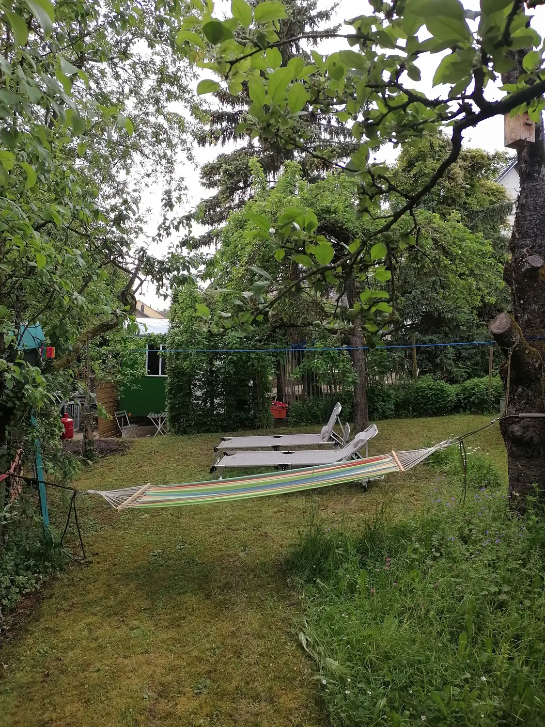 Hängematte und zwei Liegen im Garten unter Obstbäumen