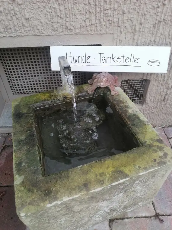 Steintrog mit laufendem Wasser, Schild „Hunde-Tankstelle"