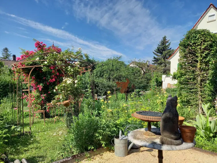 Rosenbogen über dem Gartenweg, davor eine Katze auf einem Stein