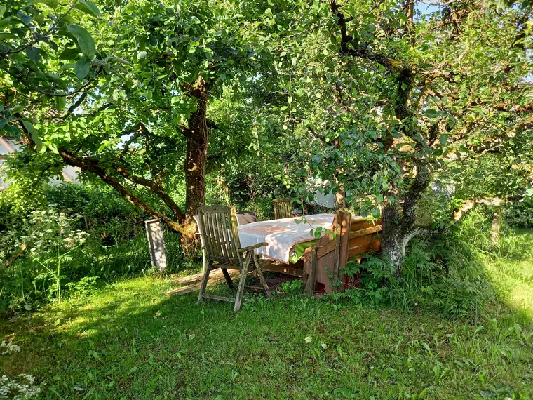 Gedeckter Tisch mit Stühlen unter einem alten Obstbaum