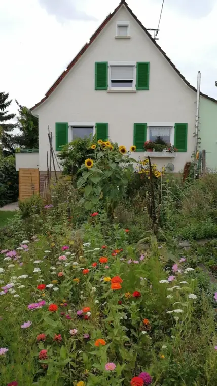 Wohnhaus mit grünen Fensterläden, davor eine Blumenwiese